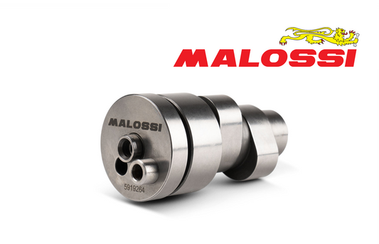 Malossi Power Camshaft for Italjet Dragster 300